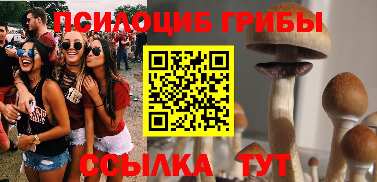 Михайловка  Галлюциногенные грибы GOLDEN TEACHER  Вход с VPN 